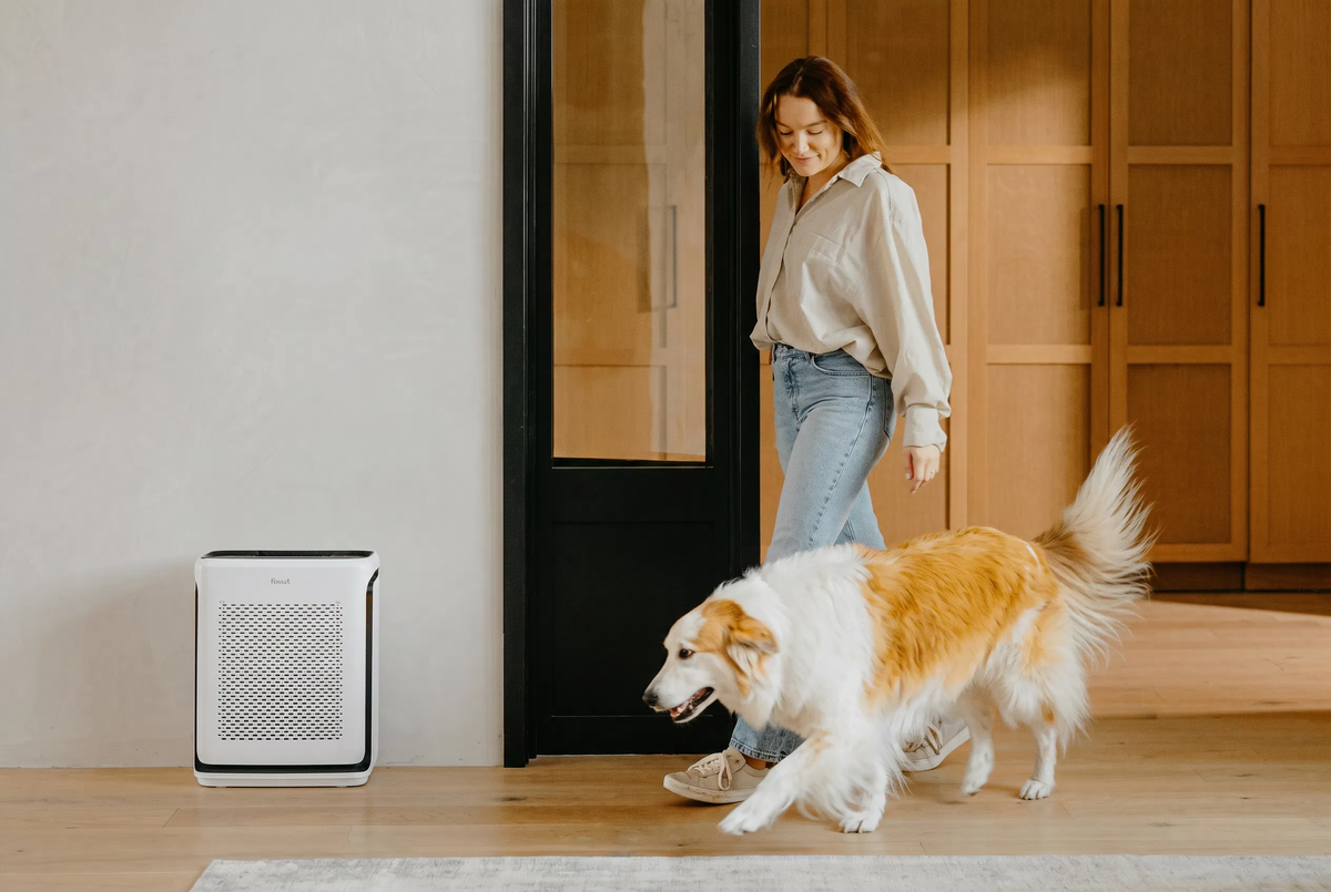 Shop for Pet Owners