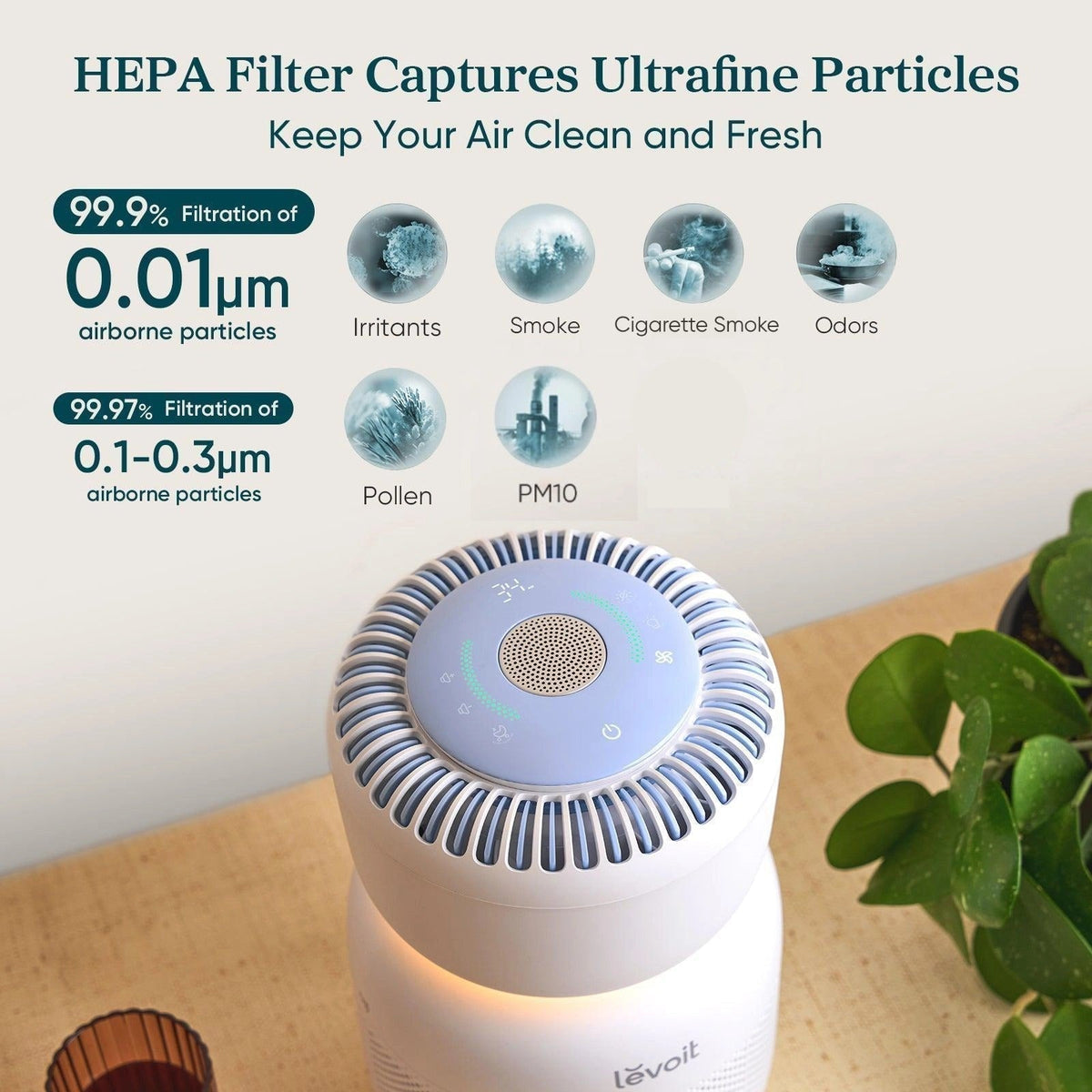 Levoit Sprout Air Purifier - Levoit